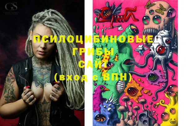 стафф Козловка