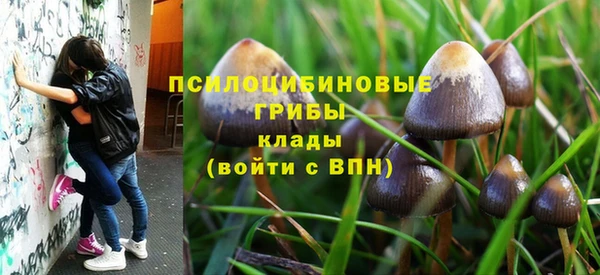 стафф Козловка