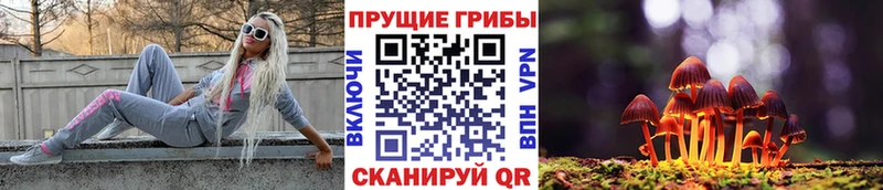 Купить где  Велиж  Псилоцибиновые грибы прущие грибы 